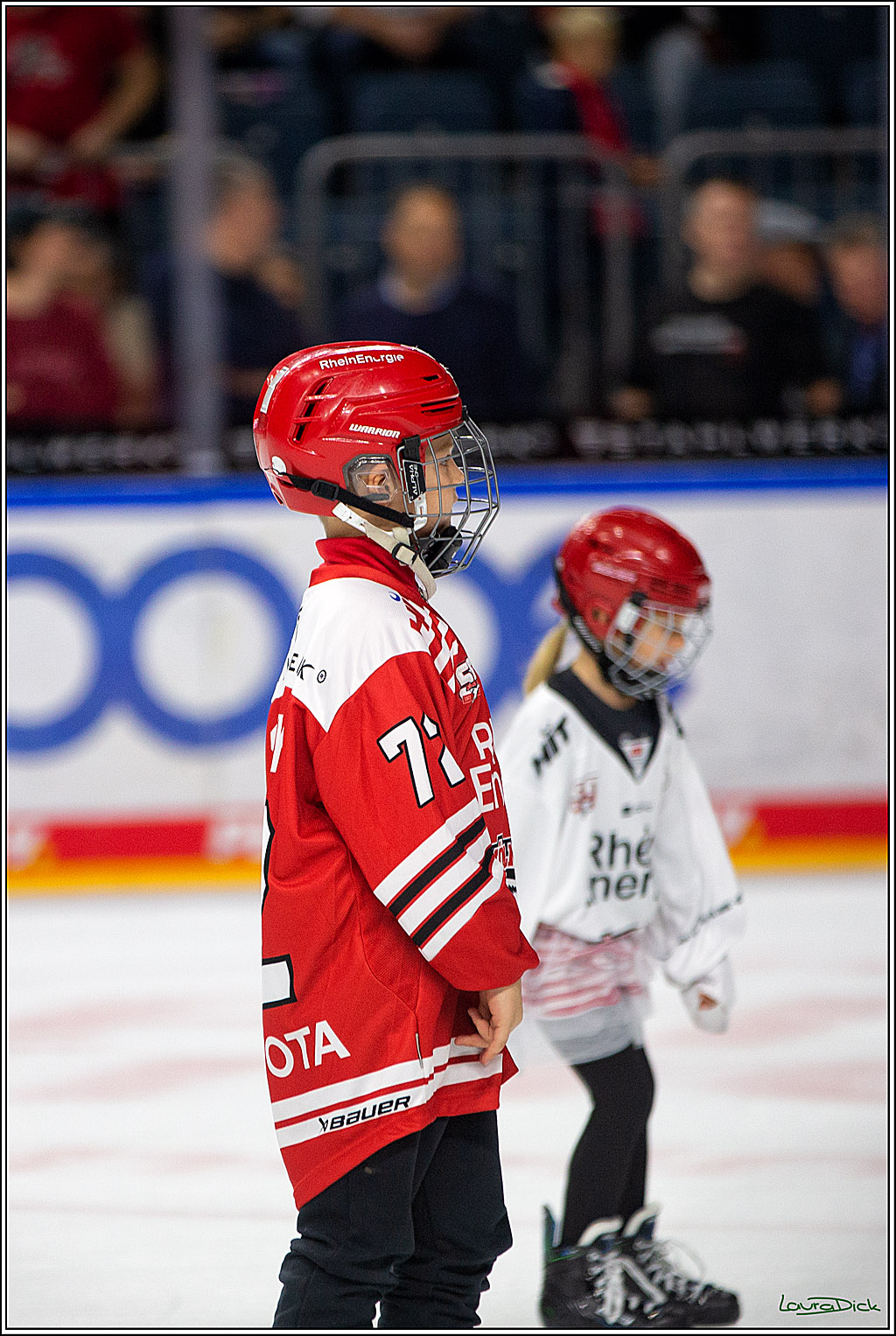 PENNY DEL; Koelner Haie- Grizzly Wolfsburg; Koeln, 26.10.2022